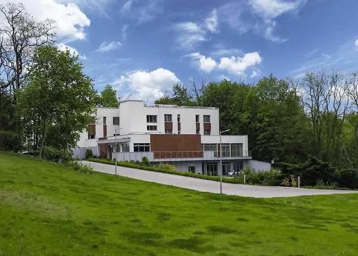 Wielspin 3* Puszczykowo